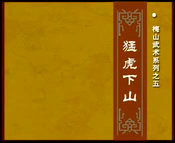 梅山武术系列之五猛虎下山