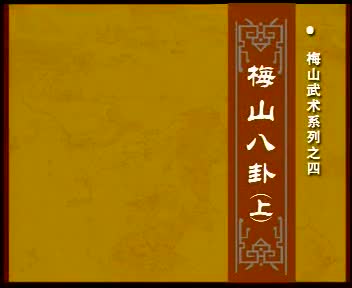 梅山武术系列之四梅山八卦掌