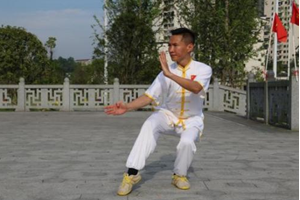 陆辉（师从晏西征，市级代表性传承人）