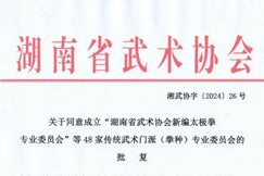 梅山武术多个专业委员会获批复