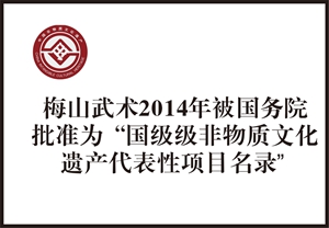 国家级非遗代表性项目