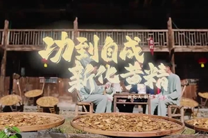 省委宣传部发布《梅山武术—新化黄精》