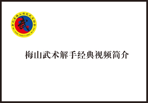 梅山武术解手经典视频简介