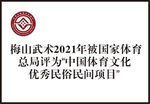 优秀民间民俗项目