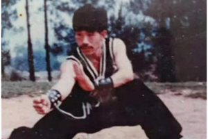 杨东华(祖传杨福星,教学类传承人)