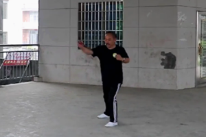 刘助芝（师从刘财田，教学类传承人）