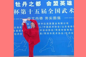 游绍兰（师从邹寿福，教学类传承人）