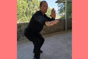 张光辉（师从陈谓南，教学类传承人）