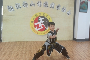 王子鸣(师从陈善甫,学生类武术专业方向)