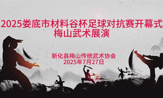 梅山武术参加2025“娄超”开幕式非遗展演