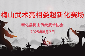 梅山武术亮相娄超新化赛场