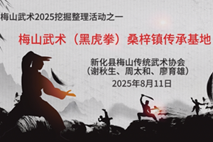 梅山武术（黑虎拳）曹运清传承基地调研挖掘