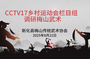CCTV17农业农村频道栏目组调研梅山武术