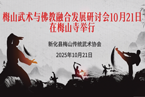 梅山武术与佛教融合发展研讨会在梅山寺举行
