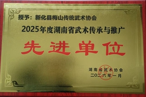 梅山武协获2025年湖南省武术传承与推广先进单位称号